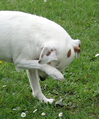 Debby DSC00199