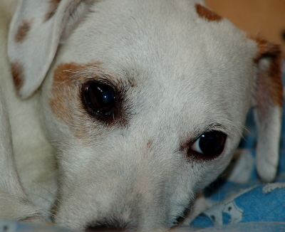 Debby DSC00271