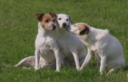 Oma, Mutter, und Tochter