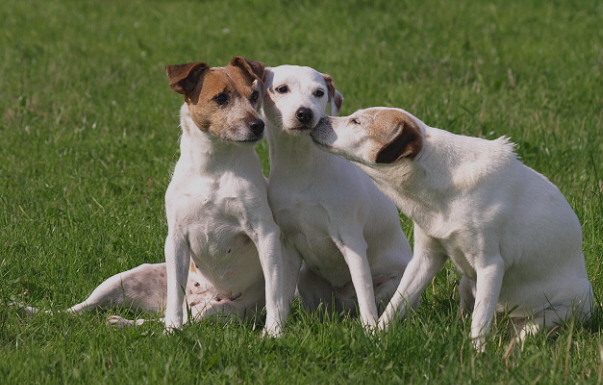 Oma, Mutter, und Tochter