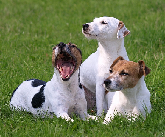 3 Generationen
